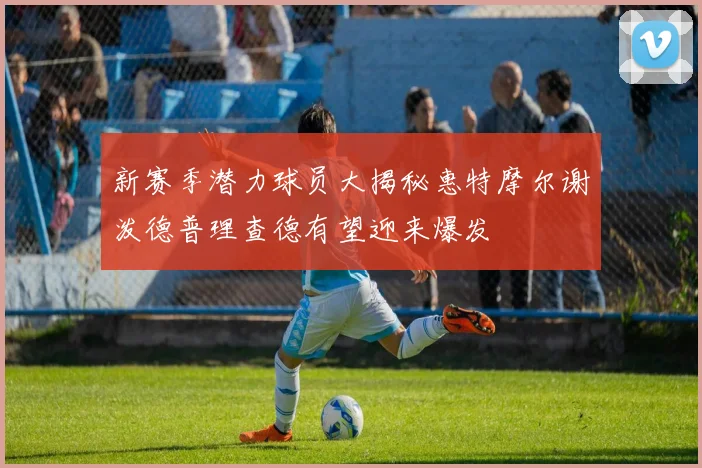 新赛季潜力球员大揭秘惠特摩尔谢泼德普理查德有望迎来爆发