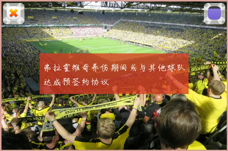弗拉霍维奇养伤期间或与其他球队达成预签约协议