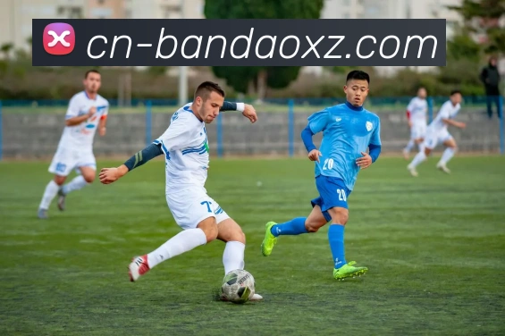 半岛体育APP 高清赛事图